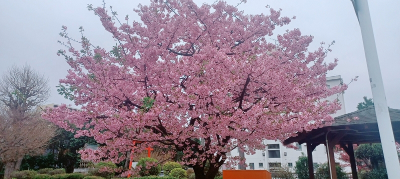 ウキウキしますね。