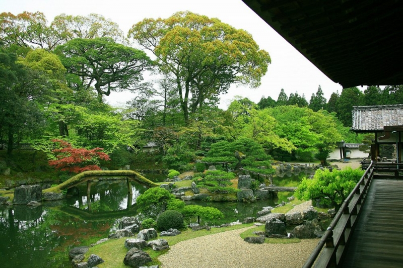 信じるか？信じないかは？あなた次第ですが。。完熟ばなな川崎店あやみ