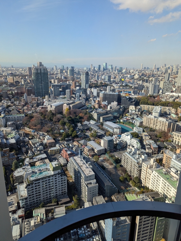 おはようございます(^O^)