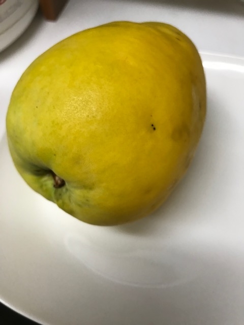 横浜店あやかです