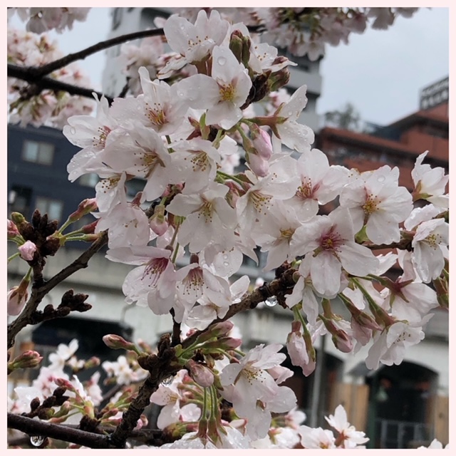 出勤しています