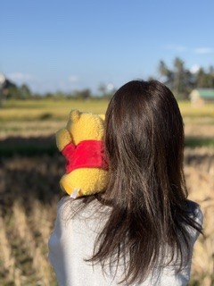 完熟ばなな横浜店　あやめです