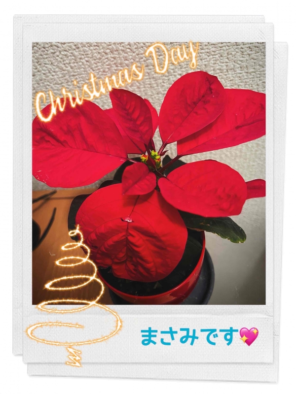 完熟ばなな川崎店 まさみです。