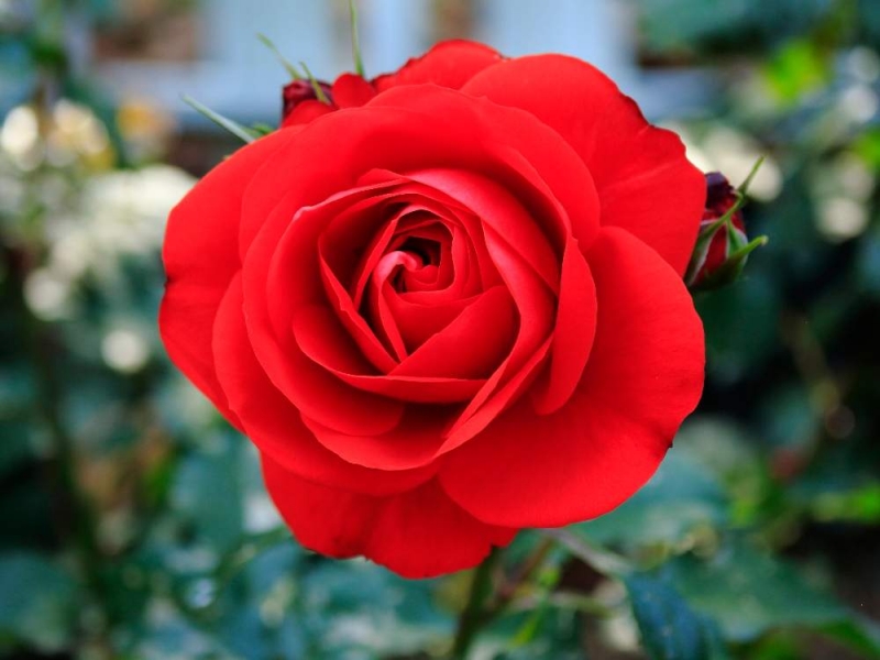 先ほどのみなさまへご搭乗ありがとうございました。。。完熟ばなな川崎店あやみ