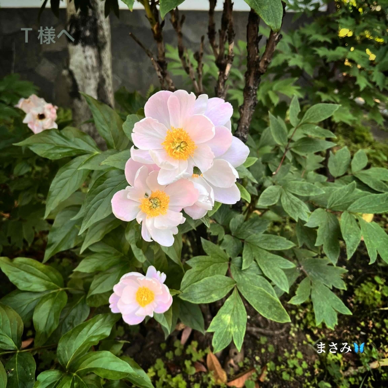 1枚目