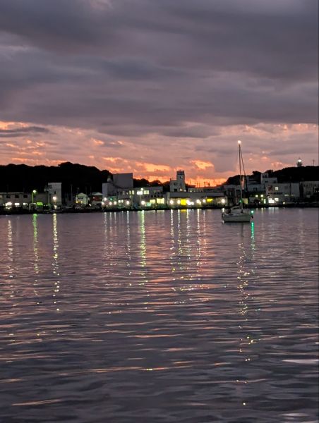 完熟ばなな横浜　ひいろです