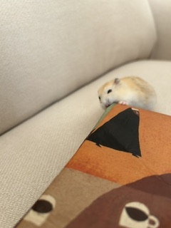 お休み…
