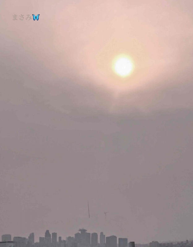 完熟ばなな川崎店 まさみです