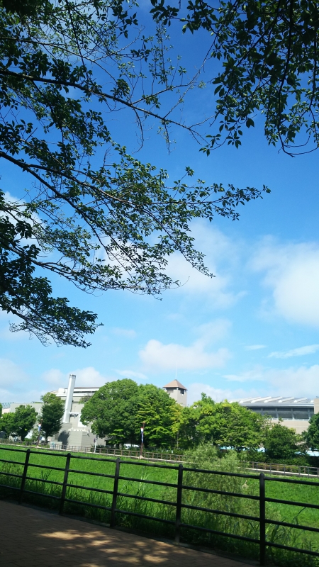 完熟ばなな横浜店ともかです