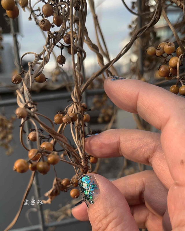 完熟ばなな川崎店 まさみです