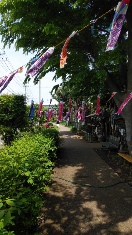 完熟ばなな横浜（あずさ）