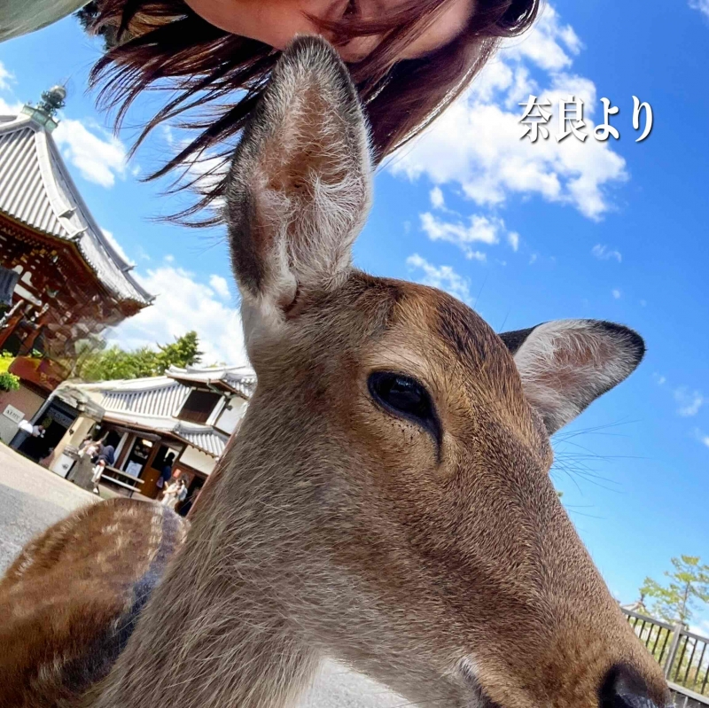 1枚目