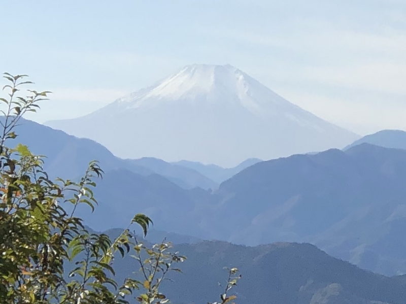 完熟バナナ川崎店のさつきです