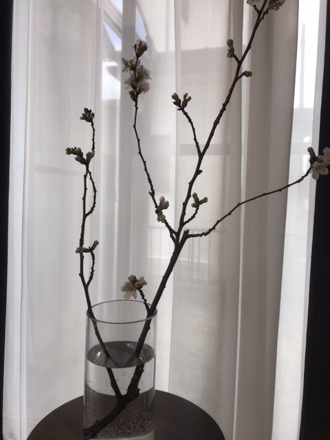 横浜店あやかです