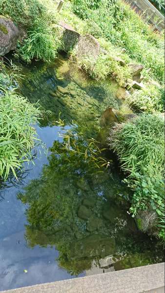 完熟ばなな川崎店ふじよです　正午に黙祷してから打っています