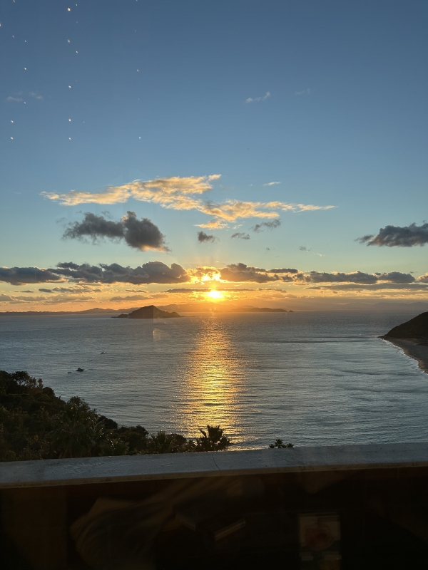 完熟ばなな横浜　あやめです
