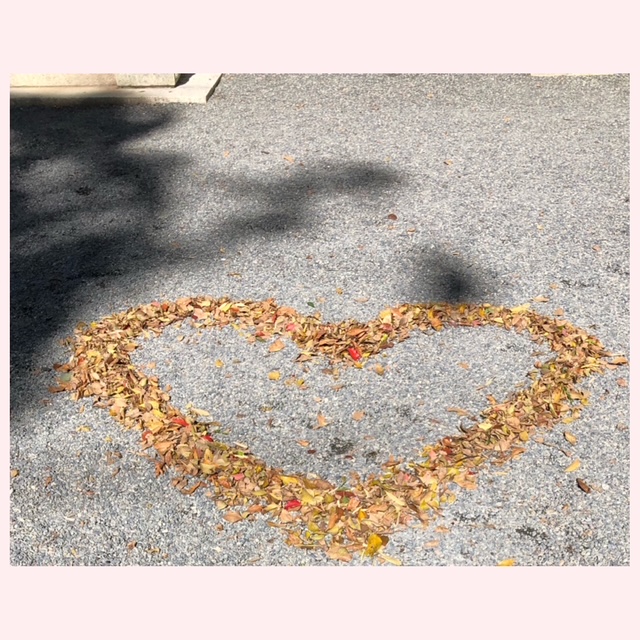 いってらっしゃい(o^^o)