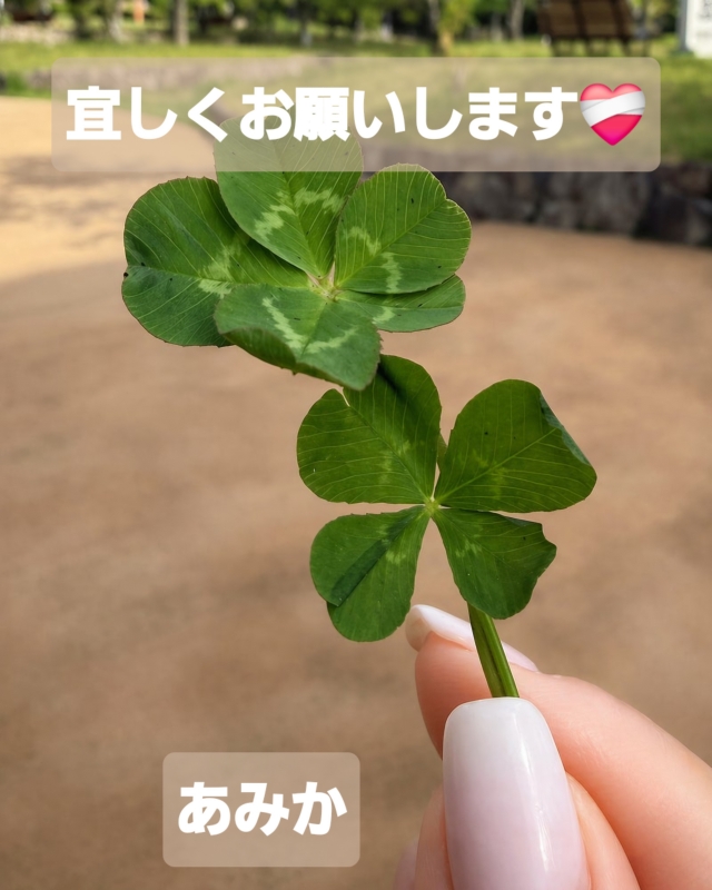17日ご予約様
