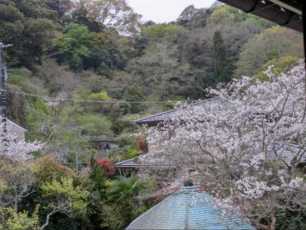 完熟ばなな川崎店ふじよです　先週土曜日に
