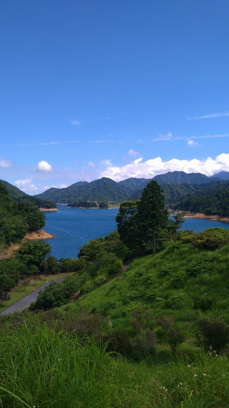 完熟ばなな横浜（あずさ）