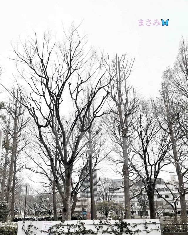 完熟ばなな川崎店 まさみです