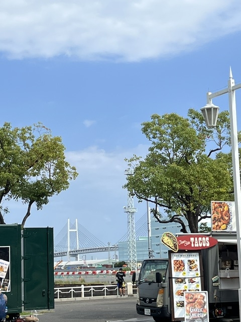 完熟ばなな横浜ちえり