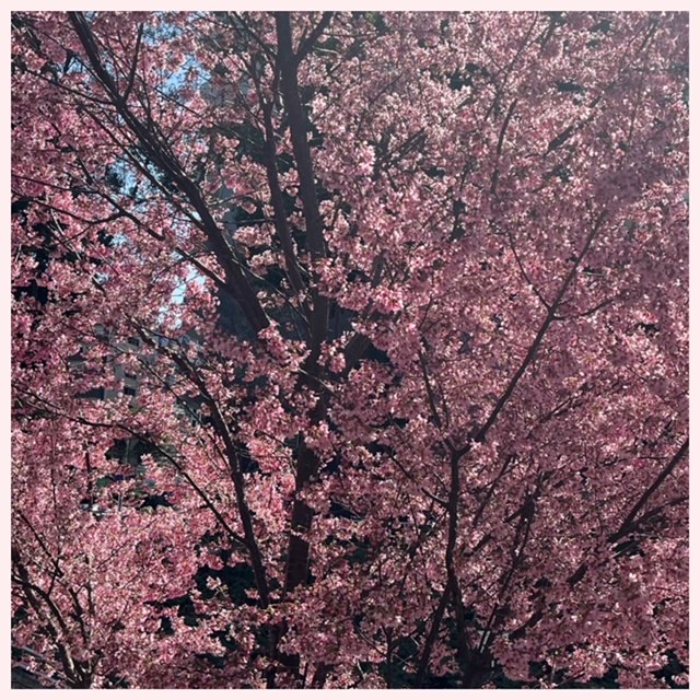 出勤致しました