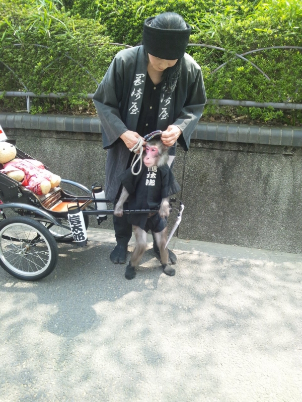 完熟ばなな横浜（あずさ）