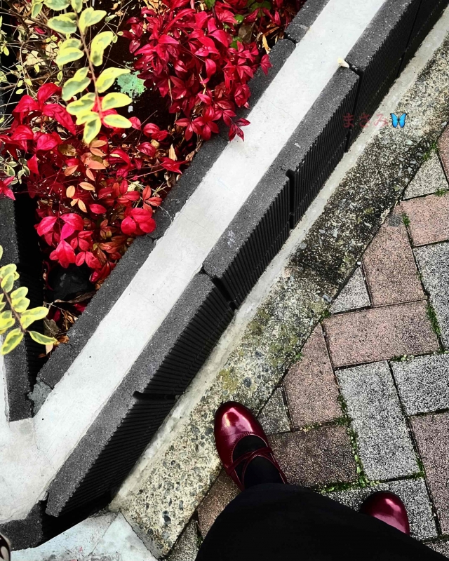 完熟ばなな川崎店 まさみです