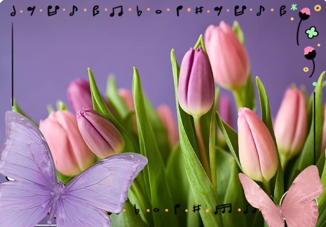 完熟ばなな川崎店ちえです♪