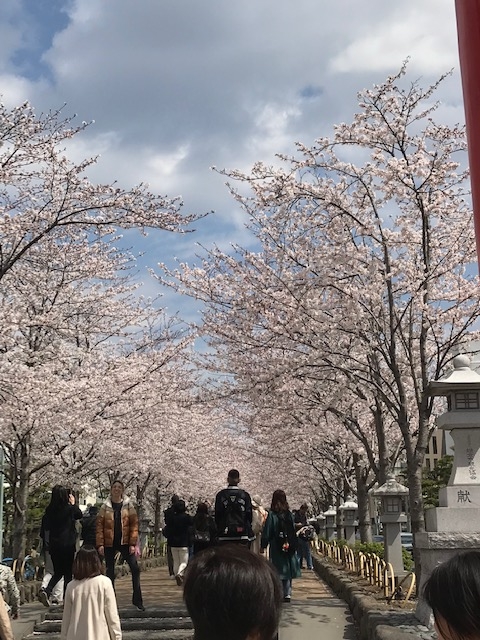横浜店あやかです