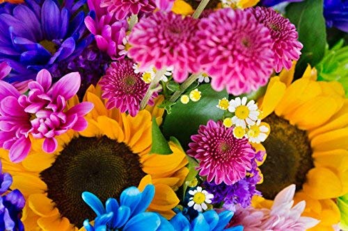 完熟バナナ川崎店　あみかです。